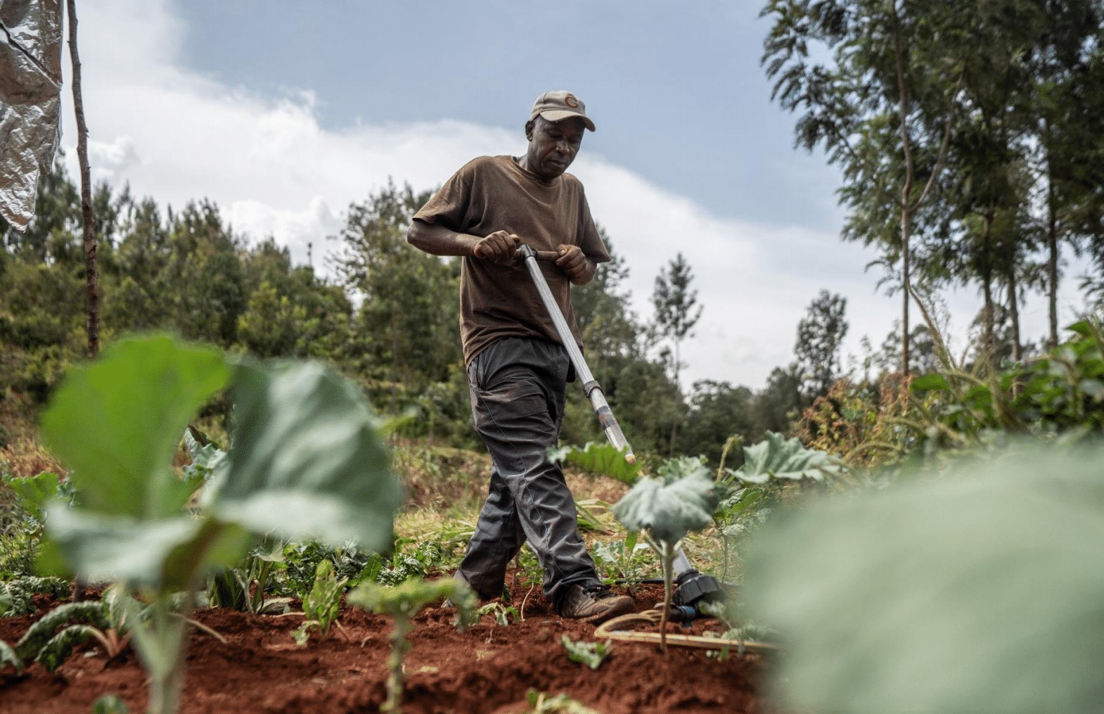 Prêt pour un gros plan sur les pompes d’irrigation Kickstart au Kenya?